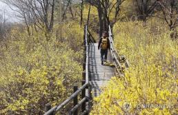 펄어비스 붉은사막, 출시 4일 만에 글로벌 판매량 300만장 돌파