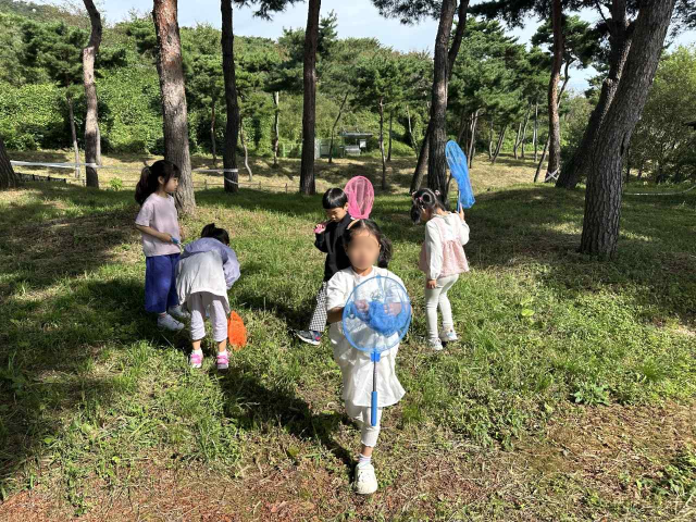 유아부터 성인까지 ‘숲’에서 힐링하세요사진홍성군