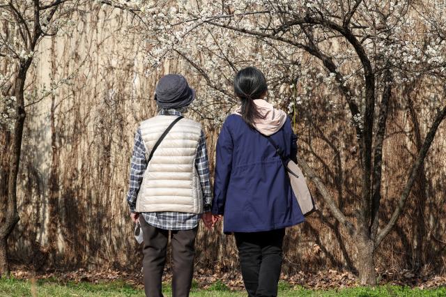 Citizens take a walk at Hadong Plum Street in Seongbuk-gu Seoul March 23 2026 AJP Yoo Na-hyun