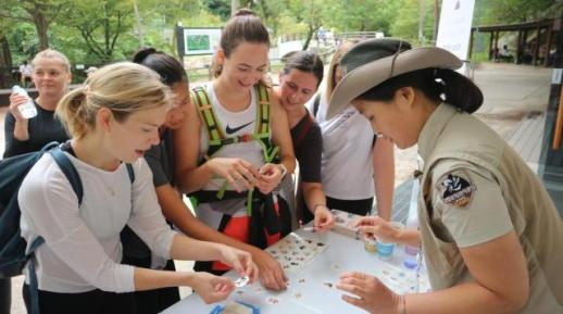 Hơn 2 triệu khách nước ngoài đã ghé thăm các vườn quốc gia Hàn Quốc