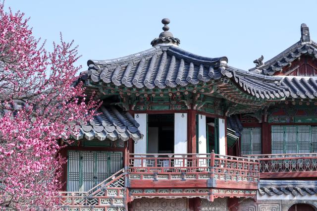 The “Letting in Light and Breeze at Changdeokgung” event which opens the windows and doors of palace buildings is underway at Changdeokgung Palace in Jongno District Seoul March 25 2026 AJP Yoo Na-hyun 20260325