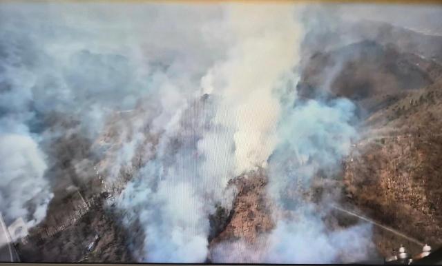 포항 장기면 군부대 사격장 인근 야산 화재 장면 사진경상북도소방본부