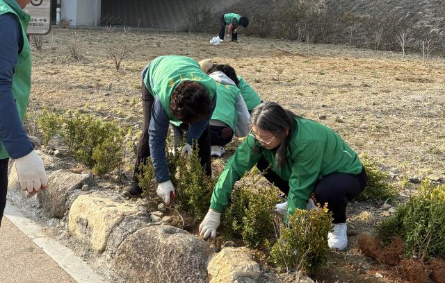 식재 사진달성군청