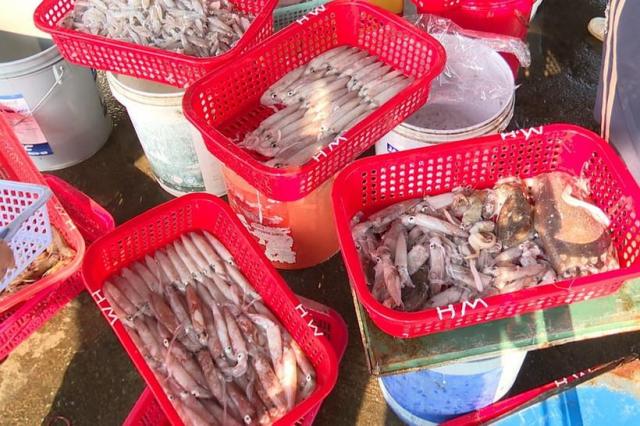 하띤의 시장 상인들이 오징어와 꼴뚜기 등을 크기에 따라 여러 등급으로 분류해 놓은 모습 사진베트남 통신사