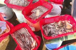 베트남 수산물 한·일 시장 동시 공략 성공... 오징어·문어 수출 23% 껑충