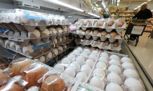 2030년까지 계란 생산 10% 증량…계란·돼지고기 담합 시 지원금 배제