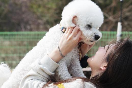 내수 부진 돌파구로 떠오른 펫푸드…식품업계 투자 확대
