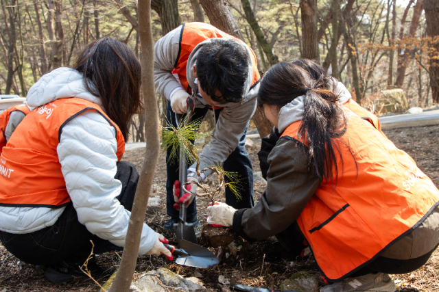 호반그룹 주니어보드 3기 구성원들이 지난 20일 충북 제천 포레스트 리솜 일대에서 나무심기 봉사활동을 진행하고 있다 사진호반그룹