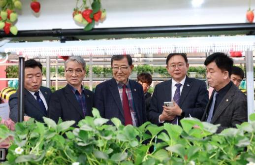 충남도의회 딸기엑스포 특위, 논산딸기축제 현장 점검