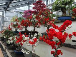 전북 남원 산내면 백일리서 산불…인근 주민 안전 유의