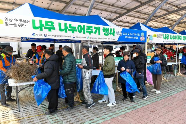강원 양구군 나무 나누어 주기 행사사진양구군