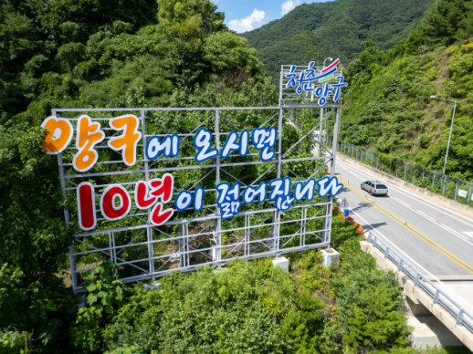 양구군, 미생물 농법 확대·곰취축제 부스 모집…친환경 농업·지역경제 동시 강화