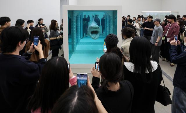 Damien Hirsts first Seoul sold draws crowds in awe