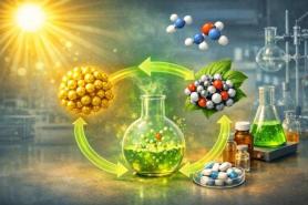 South Korean researchers use light and air to make medicine ingredients