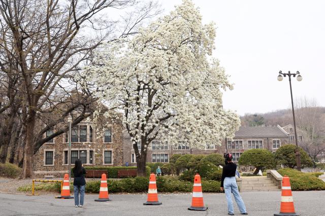 Students walk across the field at Yonsei University in Seodaemun District Seoul enjoying the mild spring weather on March 30 AJP Yoo Na-hyun 20260330

