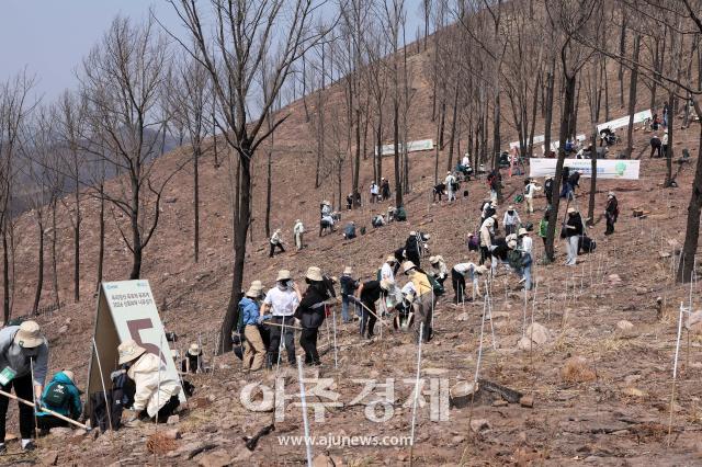 사진유한킴벌리