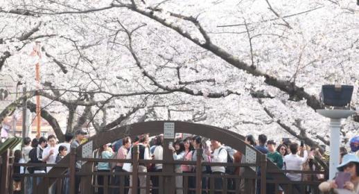 [전쟁 추경] 문화·관광, 경기 침체에 가장 취약…공연·숙박 할인, 예술인 생계비 지원