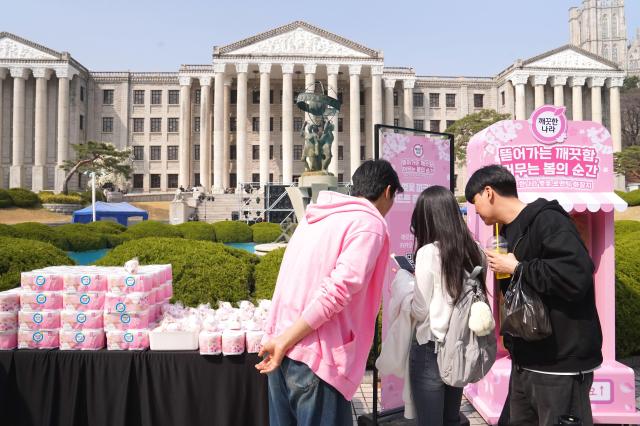 지난 26일 서울 동대문구 경희대에서 깨끗한나라의 벚꽃 깨크닉 행사가 열리고 있다 사진깨끗한나라