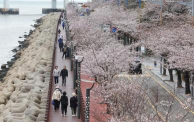 [내일날씨] 수요일에도 전국 곳곳 봄비…최대 10mm 예고
