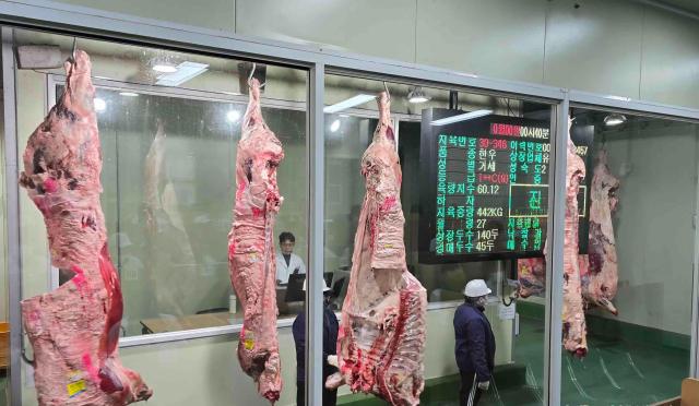 홍성한우 홍콩 수출 본격화글로벌 시장 공략 사진홍성군