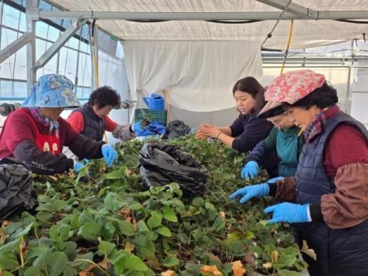 전남도 여성농업인 복지사업, 더 넓고 두터워진다