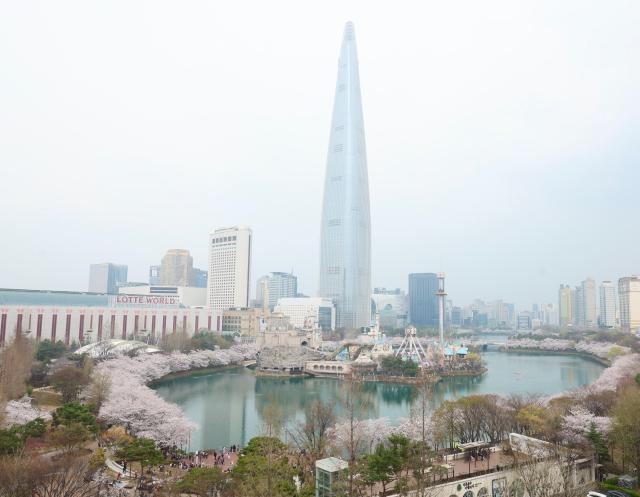 Seoul turns pink earlier than usual 