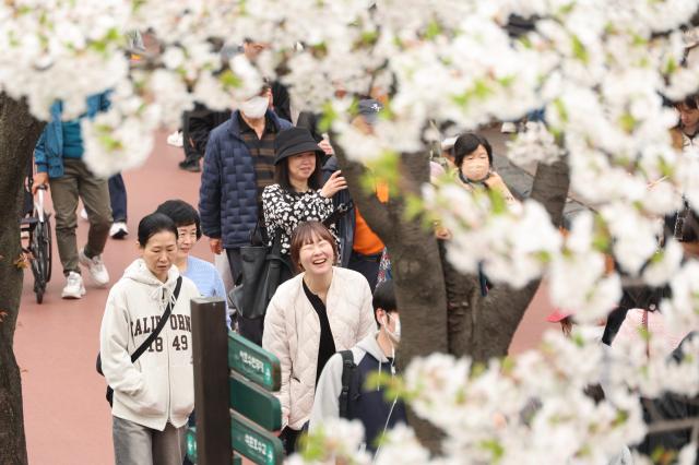 Citizens enjoy cherry blossoms at Seokchon Lake in Songpa-gu Seoul on April 1 2026 AJP Han Jun-gu 20260401