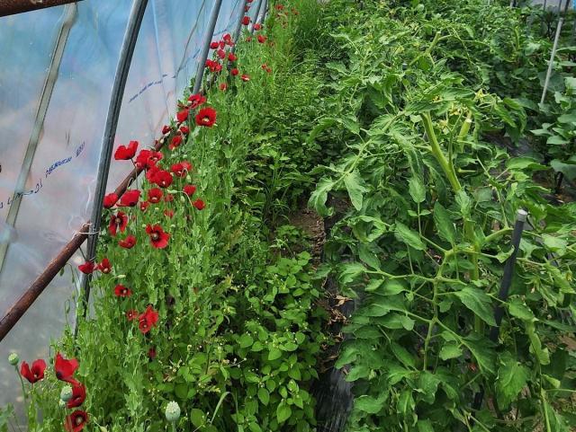 사진해경청 제공