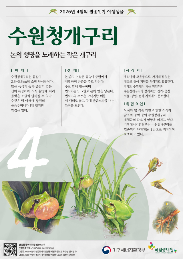 4월의 멸종위기 야생생물 포스터 [사진=기후에너지환경부]