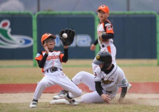 서천군, 유소년 야구 2500명 집결…한국컵 10주년, 지역경제도 뛴다