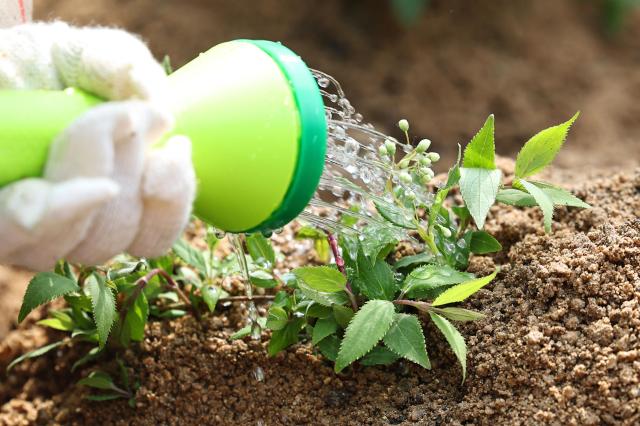A children plants trees and flowers at the Garden Forest of Participation event held at Yangjaecheon Gaepo-dong Neighborhood Park in Gangnam-gu Seoul to mark Arbor Day April 3 2026 Yonhap
