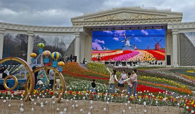 튤립 축제가 한창인 에버랜드 포시즌스 가든 사진기수정 기자