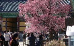 기장 6명 노렸다…기장 살해범 김동환, 수개월 준비 정황