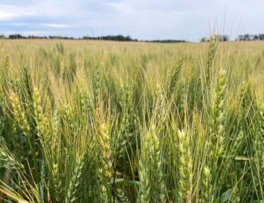 동남아, 에너지 대란에 관광 급감까지...이란전쟁 이중고 