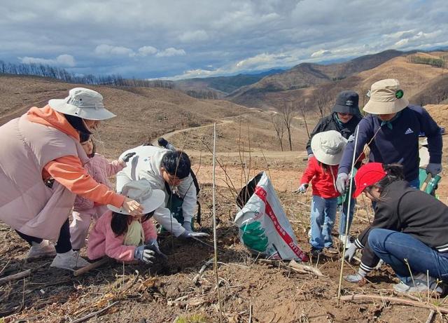 유한킴벌리와 SK텔레콤 직원과 가족들이 식목일을 하루 앞둔 지난 4일 경북 안동시 풍천면 일대 산불피해지에서 나무를 심고 있다 사진유한킴벌리
