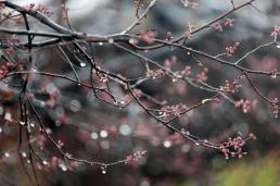 기장 6명 노렸다…기장 살해범 김동환, 수개월 준비 정황