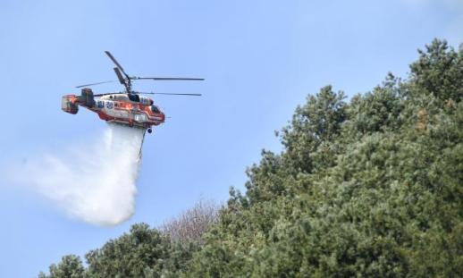 화천군, 봄철 산불 조심기간 불법 소각 무관용 단속…과태료 최대 200만원