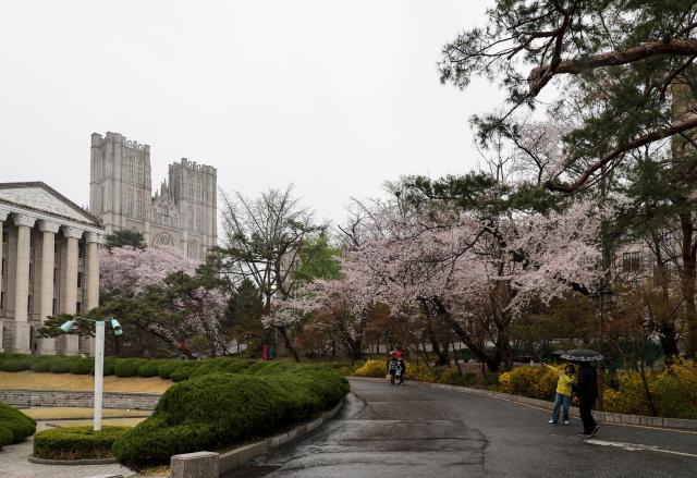 Spring rain falls on the campus of Kyung Hee University in Dongdaemun District Seoul on April 6 2026 AJP Yoo Na-hyun 20260406