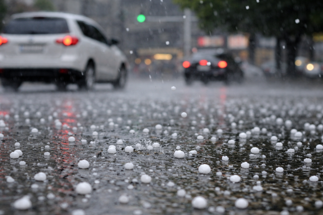 사진AI가 생성한 이미지