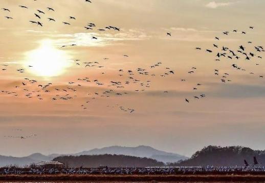 철원군, DMZ 생태계 보전 교육·홍보 공모 선정…국비 1억 확보