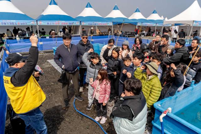 제24회 서천 동백꽃 주꾸미 축제장 모습사진서천군