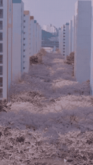 빌보드·넷플릭스 휩쓴 아리랑…BTS, 새로운 흥행 신화 쓴다