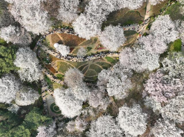 사진서대문구청