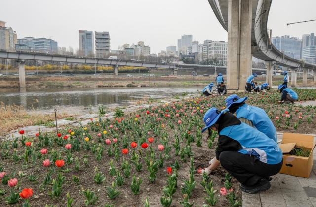 대우건설 임직원이 3종의 식생을 식재하고 있다 사진대우건설