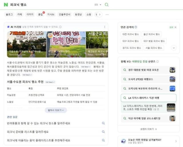 네이버 검색 결과 하단에 표시된 AI 기반 검색 서비스 ‘AI 브리핑’ 사진네이버 통합검색 화면 캡쳐