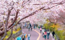 [자투리 리뷰] 저무는 미국의 시대, 흑인의 블루스를 앞세우는 절박함