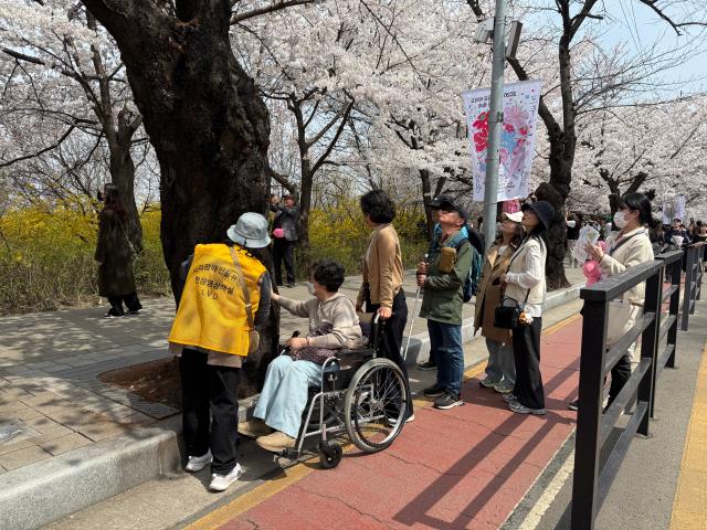 서울관광재단은 영등포구와 협업해 지난 3일부터 7일까지 5일간 진행한 시각장애인과 함께하는 봄꽃 동행 무장애 관광 프로그램을 성공적으로 마쳤다 사진서울관광재단