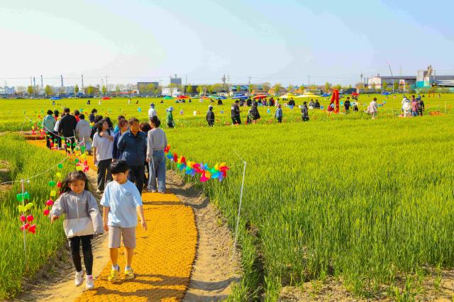 2025년 꽁당보리축제장 모습사진군산시