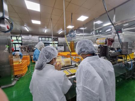 사진경기 광주시