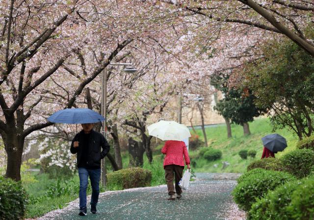 6일 광주 북구 양산호수공원에서 시민들이 내리는 비에 우산을 쓰고 걷고 있다 사진연합뉴스